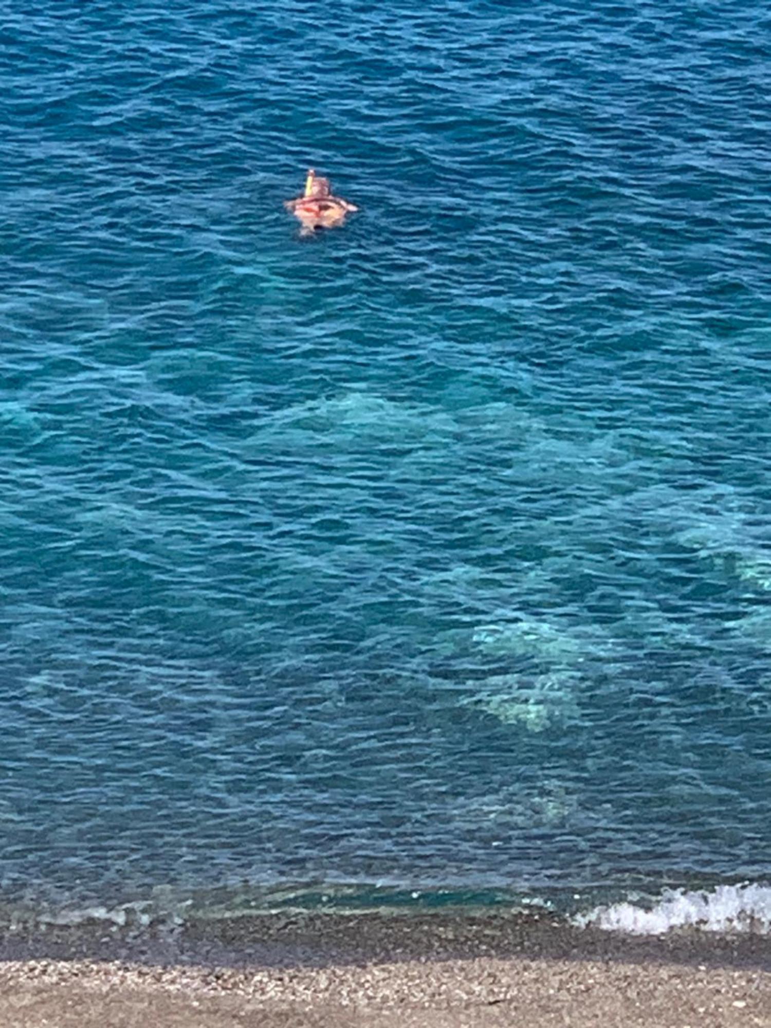 La Porta Delle Eolie Daire Capo dʼOrlando Dış mekan fotoğraf
